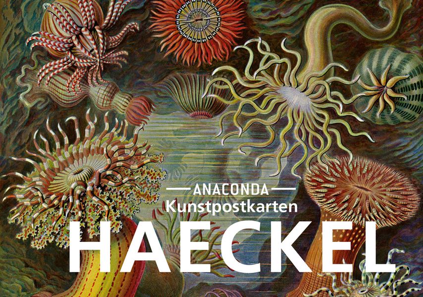 Cover von Postkarten-Set Ernst Haeckel