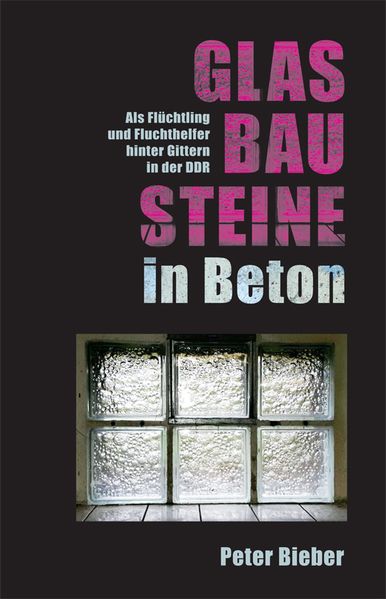 Cover von Glasbausteine in Beton