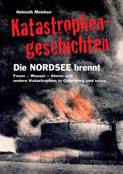 Cover von Katastrophengeschichten