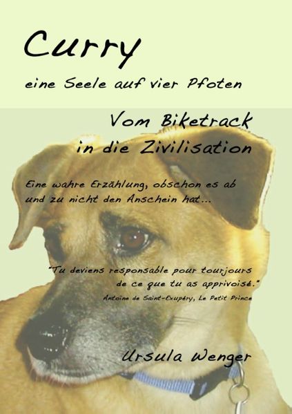 Cover von Curry