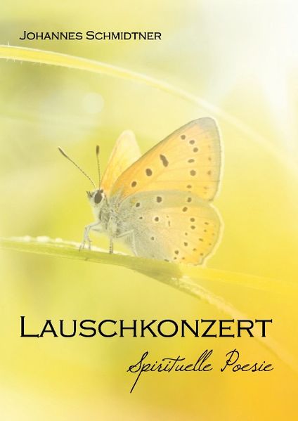 Cover von Lauschkonzert