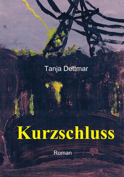 Cover von Kurzschluss