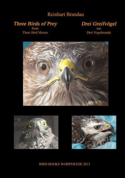 Cover von Three Birds of Prey – Drei Greifvögel
