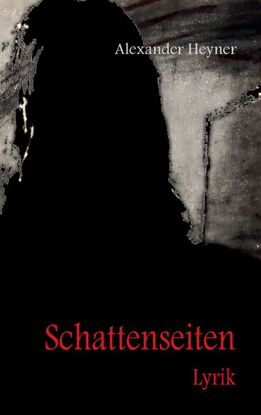 Cover von Schattenseiten