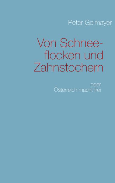 Cover von Von Schneeflocken und Zahnstochern