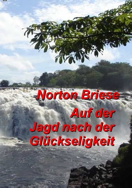 Cover von Auf der Jagd nach der Glückseligkeit