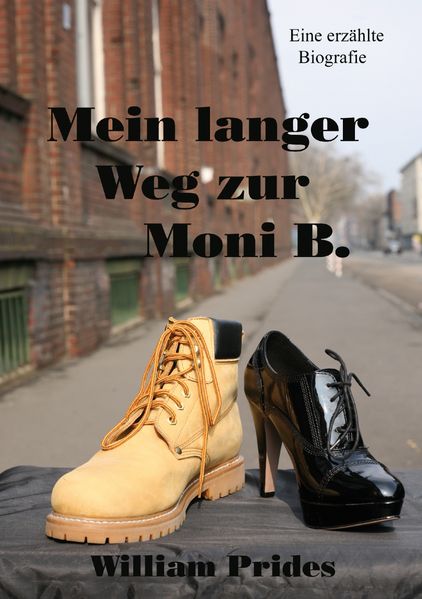 Cover von Mein langer Weg zur Moni B.
