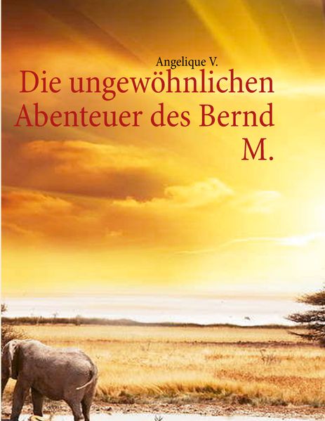 Cover von Die ungewöhnlichen Abenteuer des Bernd M.