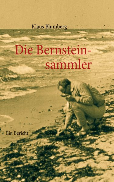 Cover von Die Bernsteinsammler