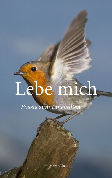 Cover von Lebe mich