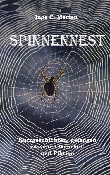 Cover von Spinnennest