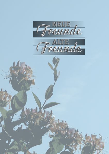 Cover von Neue Freunde – Alte Freunde
