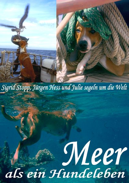 Cover von Meer als ein Hundeleben