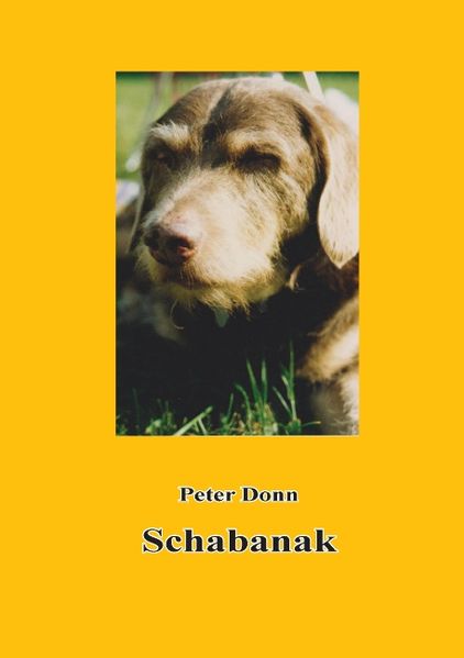 Cover von Schabanak