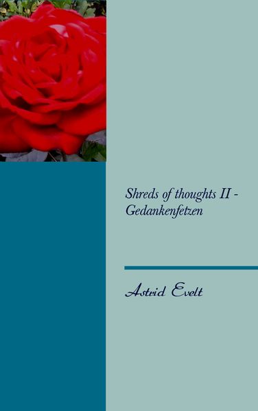 Cover von Shreds of thoughts II – Gedankenfetzen