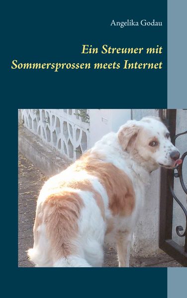 Cover von Ein Streuner mit Sommersprossen meets Internet