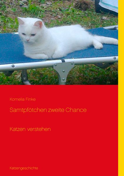 Cover von Samtpfötchen zweite Chance