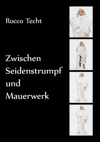 Cover von Zwischen Seidenstrumpf und Mauerwerk