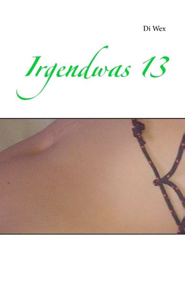 Cover von Irgendwas 13