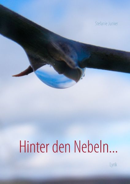 Cover von Hinter den Nebeln…