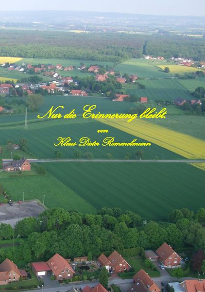 Cover von Nur die Erinnerung bleibt