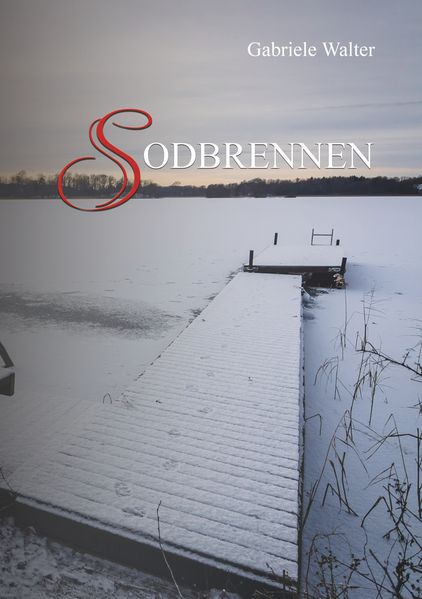 Cover von Sodbrennen