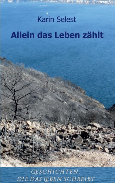 Cover von Allein das Leben zählt