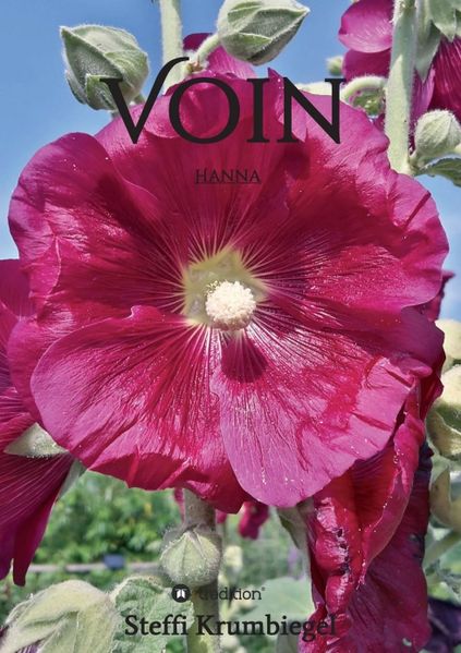 Cover von Voin