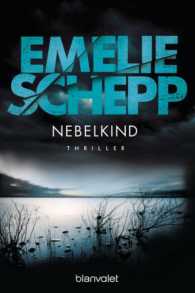 Cover von Nebelkind