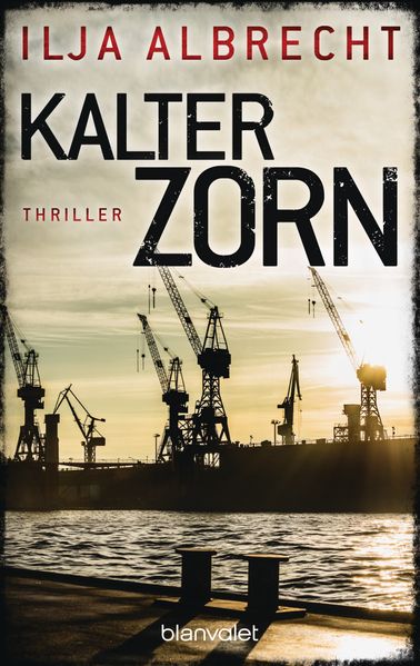 Cover von Kalter Zorn