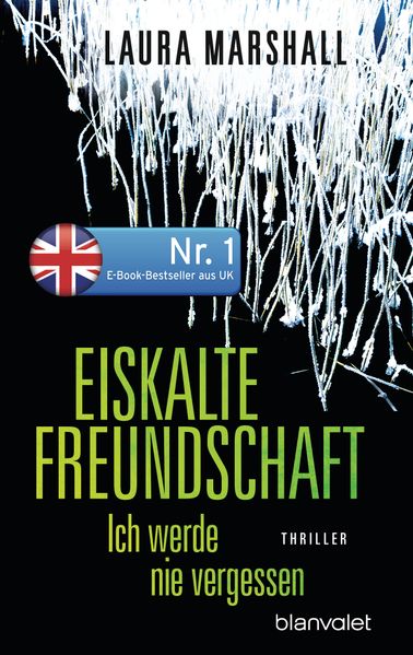Cover von Eiskalte Freundschaft – Ich werde nie vergessen