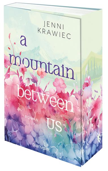 Cover von A mountain between us