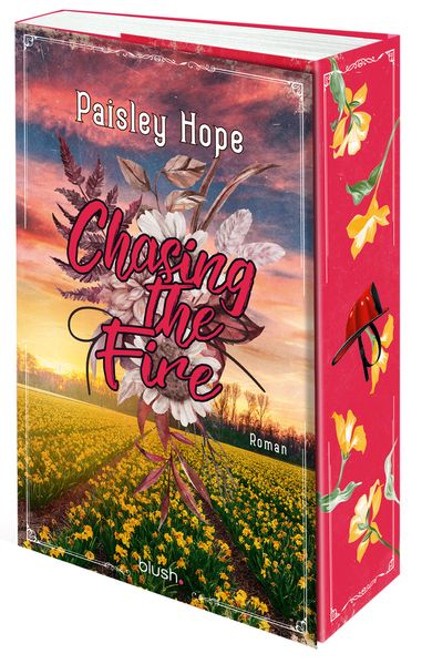 Cover von Chasing The Fire