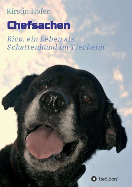 Cover von Chefsachen