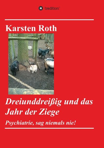 Cover von Dreiunddreißig und das Jahr der Ziege