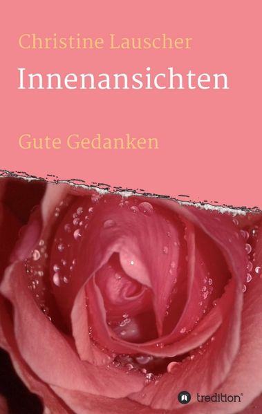 Cover von Innenansichten