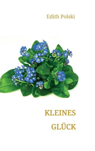 Cover von Kleines Glück