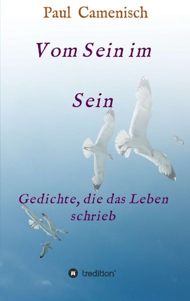 Cover von Vom Sein im Sein