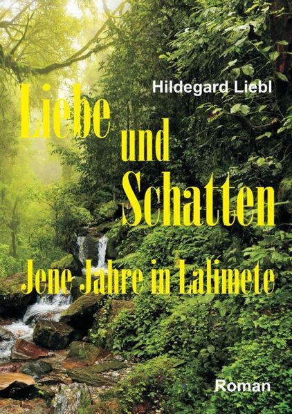 Cover von Liebe und Schatten