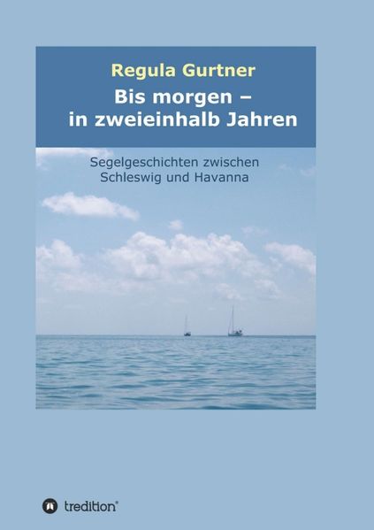 Cover von Bis morgen – in zweieinhalb Jahren