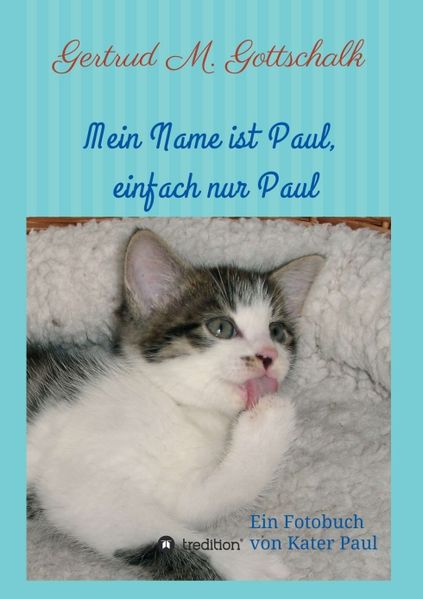 Cover von Mein Name ist Paul, einfach nur Paul