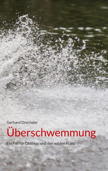Cover von Überschwemmung