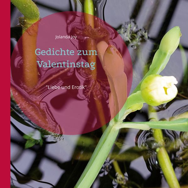 Cover von Gedichte zum Valentinstag