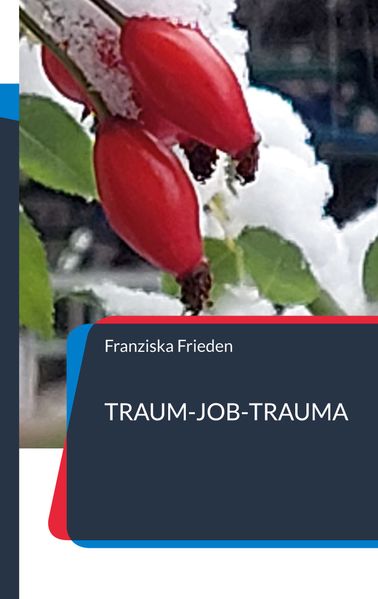 Cover von „Traum-Job-Trauma“