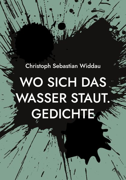 Cover von Wo sich das Wasser staut
