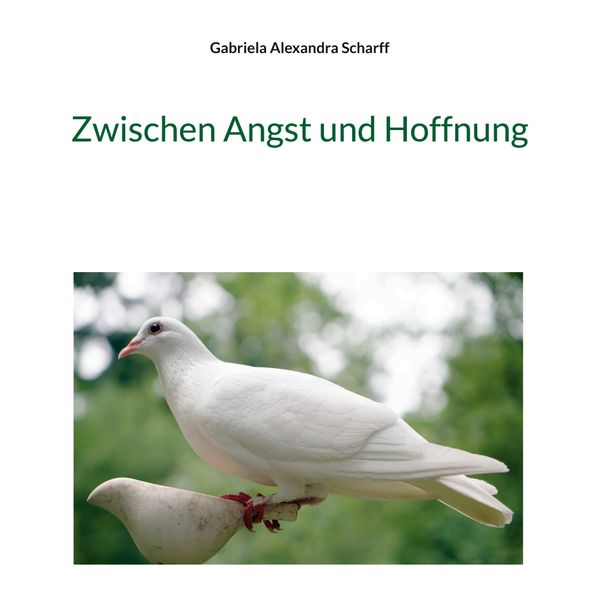 Cover von Zwischen Angst und Hoffnung