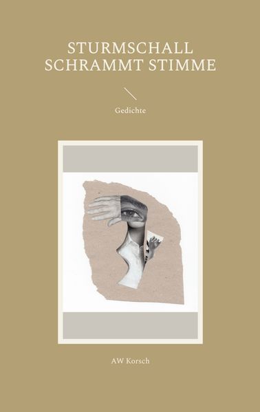 Cover von sturmschall schrammt stimme