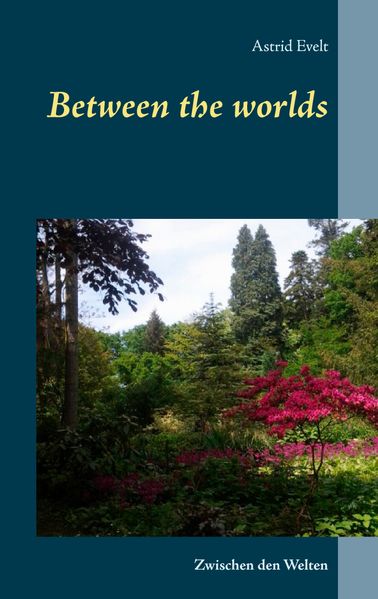 Cover von Between the worlds