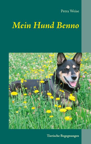 Cover von Mein Hund Benno