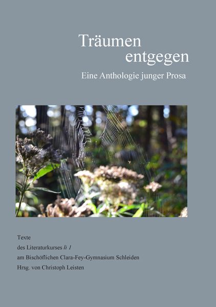 Cover von Träumen entgegen
